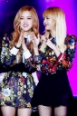 BP_-_SBS_Gayo_Daejeon_2016_2810029.jpg