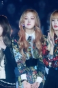 BP_-_SBS_Gayo_Daejeon_2016_2812929.jpg