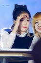 BP_-_SBS_Gayo_Daejeon_2016_2817129.jpg