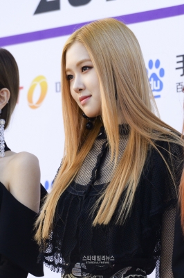 BP_-_Asia_Artist_Awards_2016_2820429.jpg