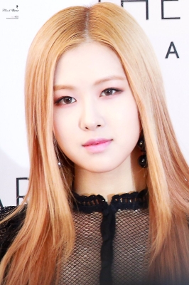 BP_-_Asia_Artist_Awards_2016_2829229.jpg