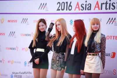 BP_-_Asia_Artist_Awards_2016_2830829.jpg