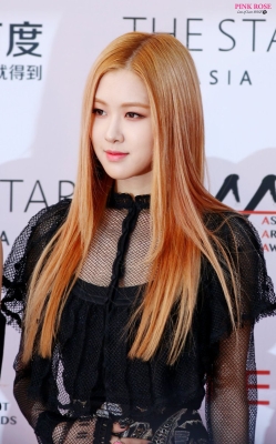 BP_-_Asia_Artist_Awards_2016_2834029.jpg