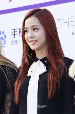 BP_-_Asia_Artist_Awards_2016_28429.jpg