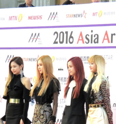 BP_-_Asia_Artist_Awards_2016_285229.jpg