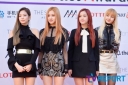 BP_-_Asia_Artist_Awards_2016_281029.jpg