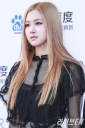 BP_-_Asia_Artist_Awards_2016_2815929.jpg