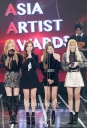 BP_-_Asia_Artist_Awards_2016_2816329.jpg